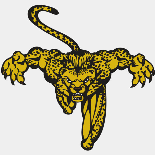 BAW CHEETAH 08 RC Thumbnail