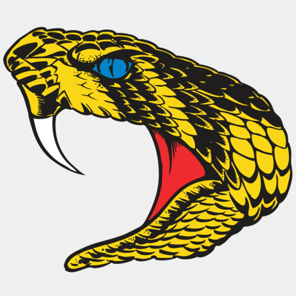 BAW SNAKE 06 RC Thumbnail