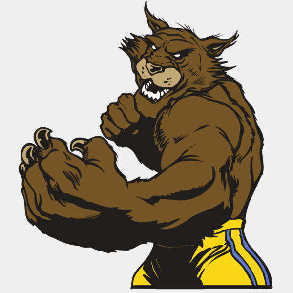 AR WILDCAT 48 RC Thumbnail