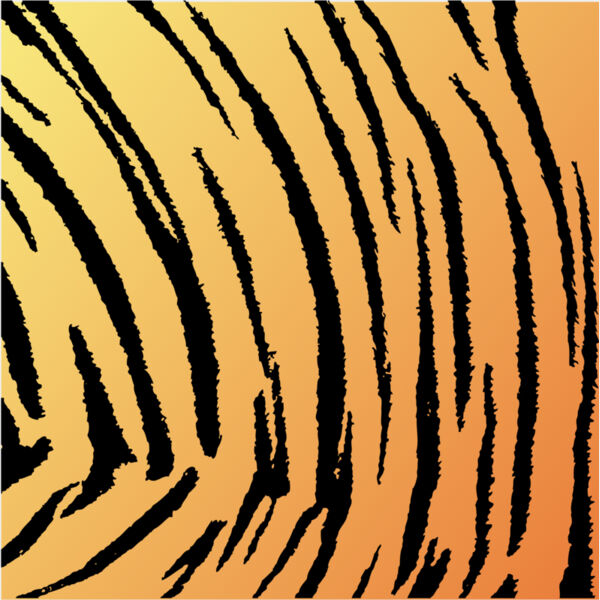 Tiger Print Stripes Background 6 Thumbnail