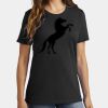 Ladies Core Cotton Tee Thumbnail
